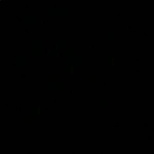 Meet your Posher, Kylie